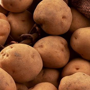 Подготовка картофеля к посадке весной - прогревание, проращивание,переборка и сортировка
